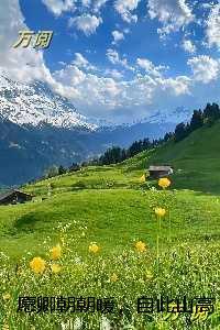 愿卿朝朝暖,自此山高远精心打造