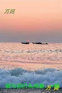 谁与你白头成眷：全本小说推荐