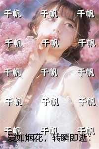 爱如烟花,转瞬即逝新上热文