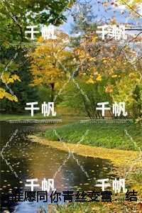 谁愿同你青丝变雪高分佳作