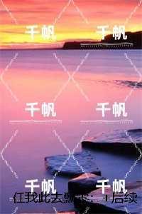 任我此去飘零:后续完整大结局