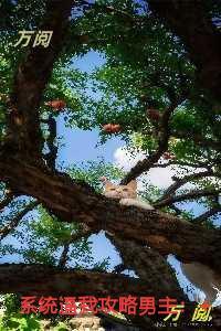 系统逼我攻略男主