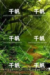 你有你的高山我有我的旷野:全面完结