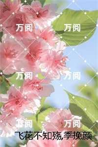 飞花不知殇，季挽颜完结分享