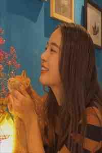 佳妻难逃，霸总狂追白月光裴琛乔之桃番外+后续