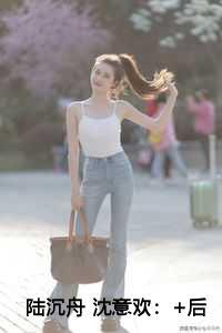 陆沉舟沈意欢必读爽文