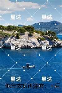 他年故初再逢春：精心编著