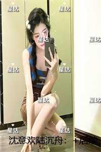 沈意欢陆沉舟：精选小说推荐