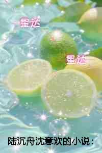 陆沉舟沈意欢爱恨纠葛