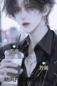 陆沉舟沈意欢:番外