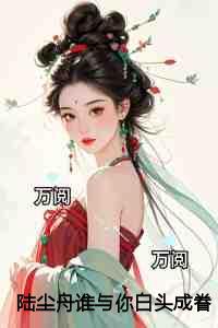 陆尘舟谁与你白头成眷