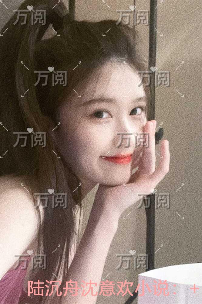 陆沉舟沈意欢高质量好文