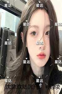 沈意欢陆沉舟：结局