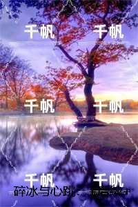 碎冰与心跳：完结精选作品