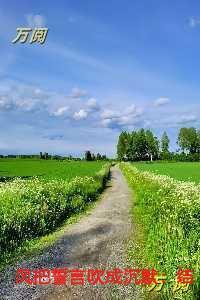 风把誓言吹成沉默