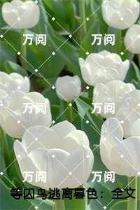 等囚鸟逃离暮色