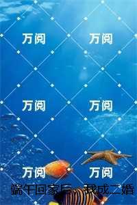 端午回家后，我成二婚了，绵绵+结局+完结