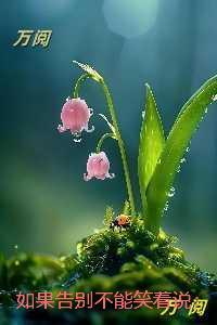 如果告别不能笑着说：+番外+完结