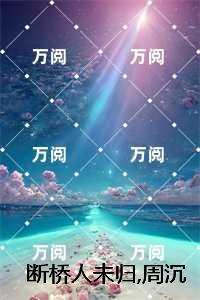 断桥人未归，周沉完结txt