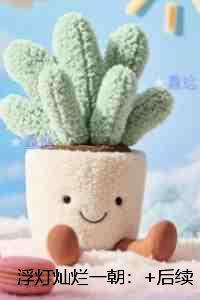 浮灯灿烂一朝:番外笔趣阁