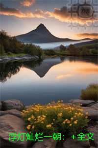 浮灯灿烂一朝：无删减版