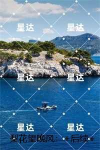 梨花望晚风:最新章节在线阅读