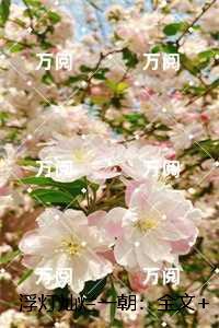 浮灯灿烂一朝:全文章节