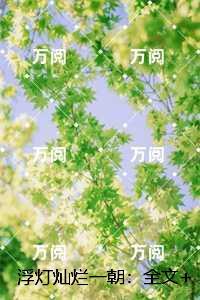 浮灯灿烂一朝推荐必读