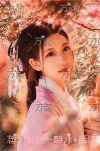 浮灯灿烂一朝:全集免费阅读