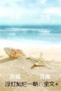 浮灯灿烂一朝：，梁明昭沈砚卿全新