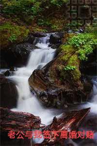 老公与我签下离婚对赌协议后我成全他免费品鉴