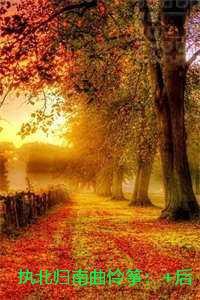 执北归南曲怜筝:节选高光片段速递