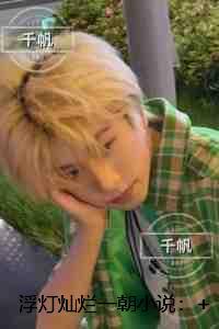 浮灯灿烂一朝:章节速览