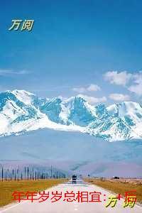 年年岁岁总相宜:精品推荐