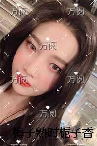 梅子熟时栀子香免费