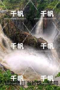 错把鱼目当珍珠:,楚繁霜季潇尘+番外+后续