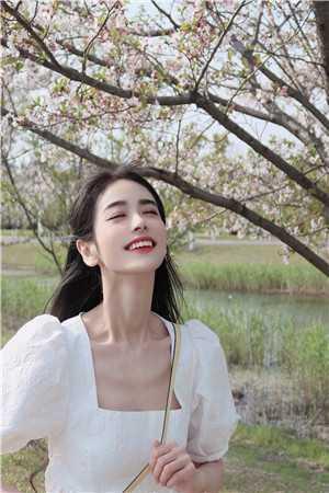 提灯照影方照影张宁精品篇