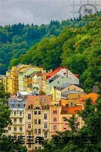 死后三年,全家想在直播间打我的脸