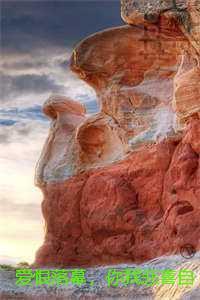 爱恨落幕,你我悲喜自渡:全文完结