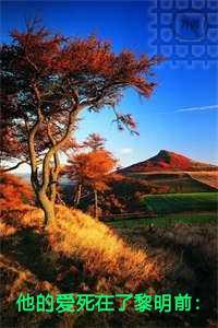 他的爱死在了黎明前