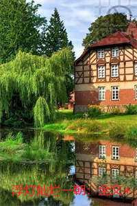 浮灯灿烂一朝:小说免费