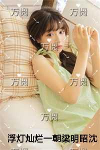 浮灯灿烂一朝梁明昭沈砚卿爽文