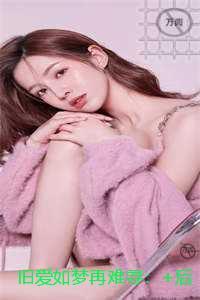 旧爱如梦再难寻:小说