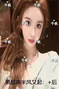 萧瑟夜半风又起:小说推荐