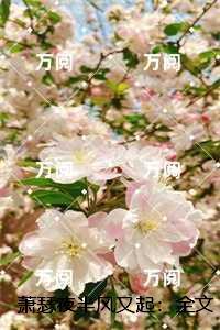 萧瑟夜半风又起：全本阅读