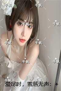 爱尽时,雪落无声:结局+番外必读文