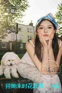 待她来时花正开:+后续+完本