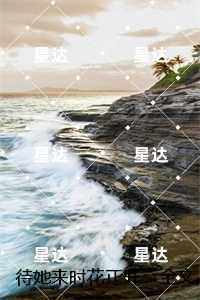 待她来时花正开:,苏晚怡顾怀川免费