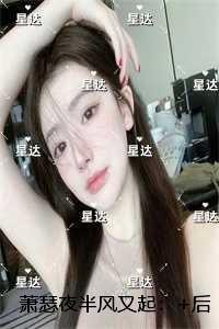 萧瑟夜半风又起：免费看