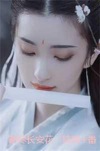 谢尽长安花：强推现言